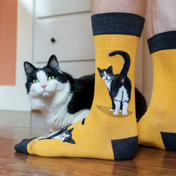 Yellow-gold crew socks with charcoal accents featuring a tuxedo cat illustration, worn by a man at home with a fluffy black-and-white cat sitting nearby.