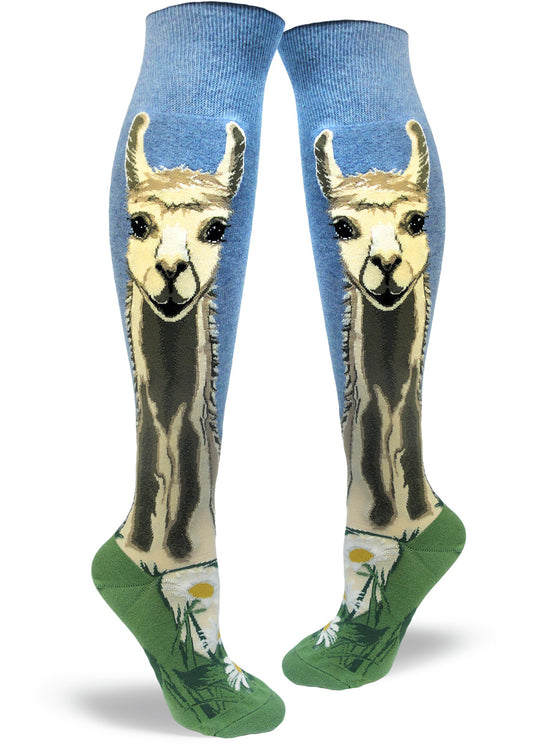 Llama knee socks with large realistic llama faces and necks up each side, with blue sky at the top and grass and daisies at the bottom.