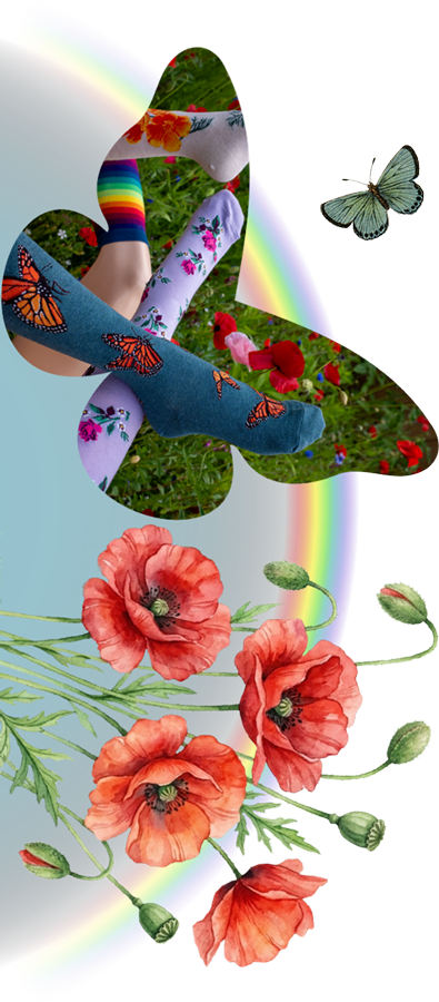 ModSocks