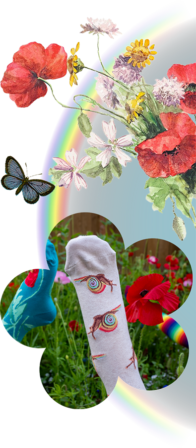 ModSocks